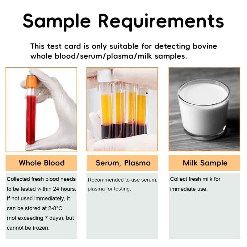 Brucella Antibody Test Strip
