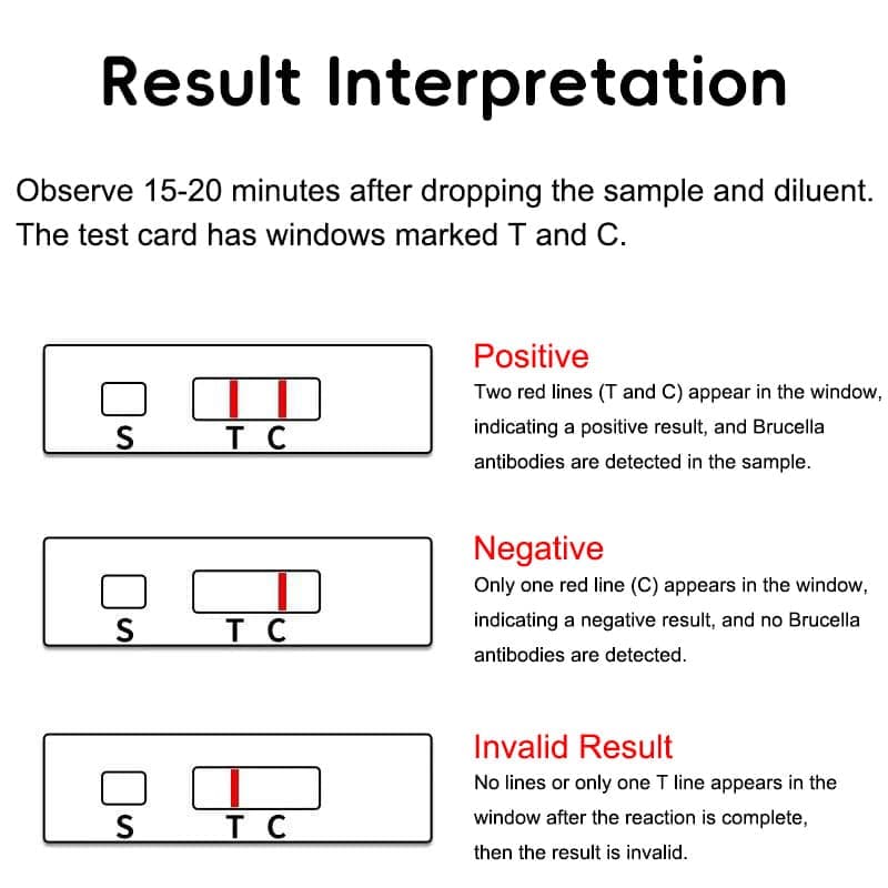 Brucella Antibody Test Strip