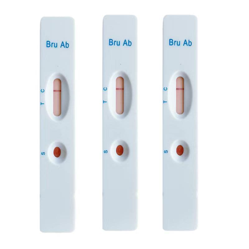 Brucella Antibody Test Strip