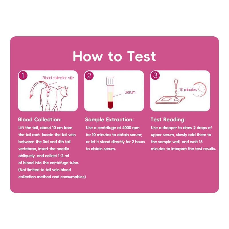 Bst Bovine Pregnancy Test