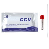 Yijia CCV